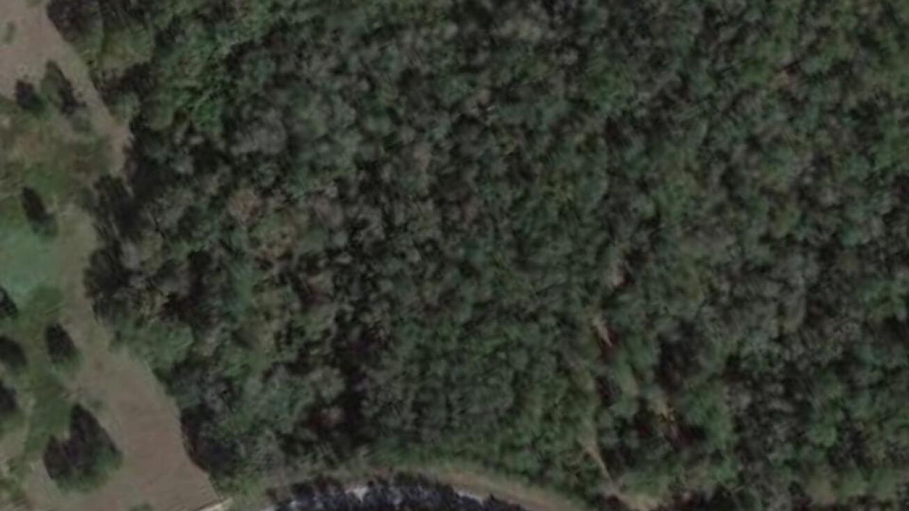 Carey Byrd Rd, Carriere, MS 39426 Land for Sale Nhn Carey Byrd Rd