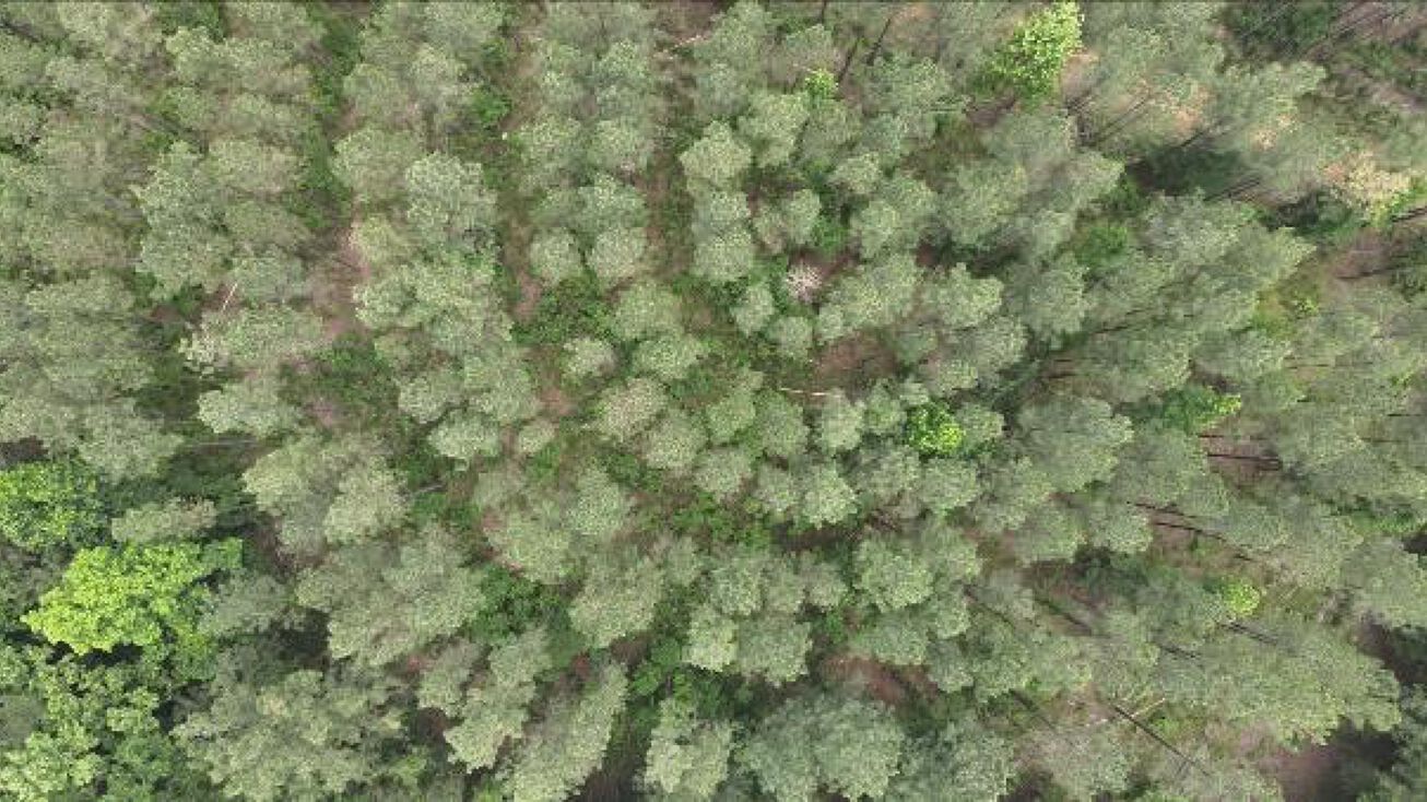 47.6 Acres in Attala County, Sallis, MS 39160