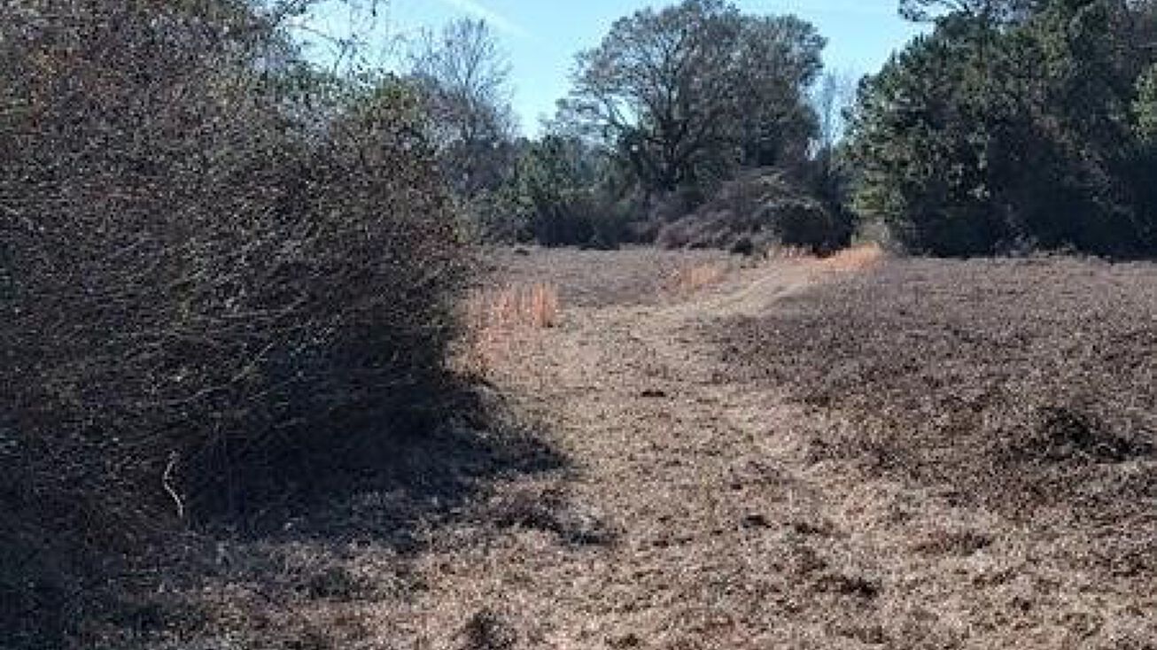 Nhn Spain St, Lumberton, MS 39455 Land for Sale Nhn Spain St