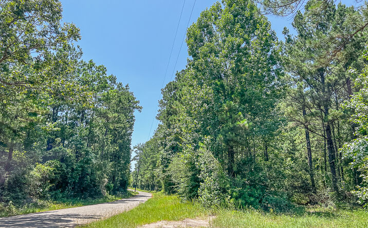 Pictures of Land property located at 0 CR 364, Zavalla, TX 75980 for sales - image #1