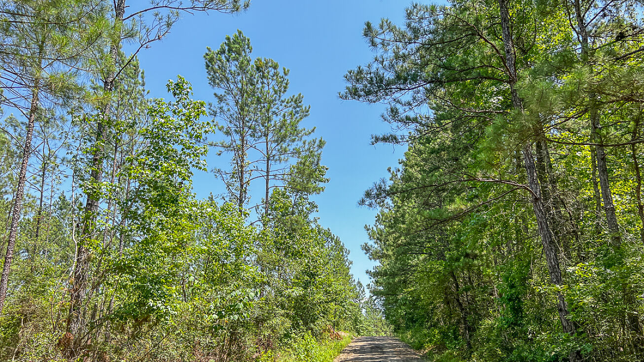 00 CR 364e, Zavalla, TX 75980 Land for Sale 37 Acres CR 364 T4