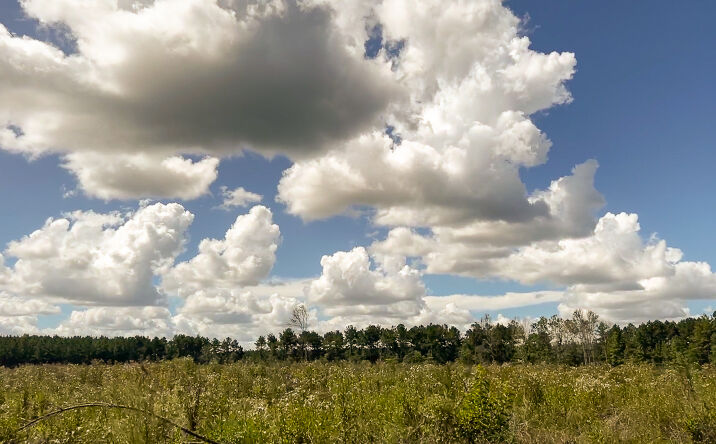 Pictures of Land property located at 0 CR 368/ CR 367, Zavalla, TX 75980 for sales - image #1