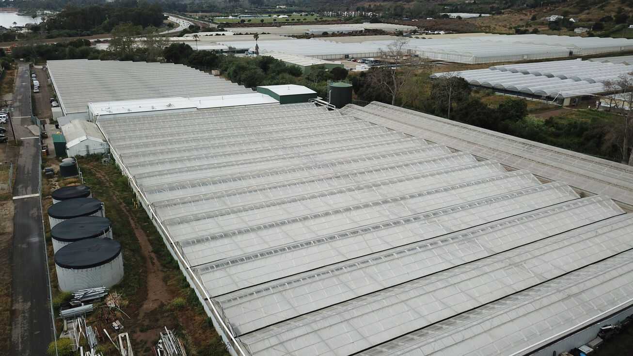 Industrial and Commercial Greenhouse Suppliers for California