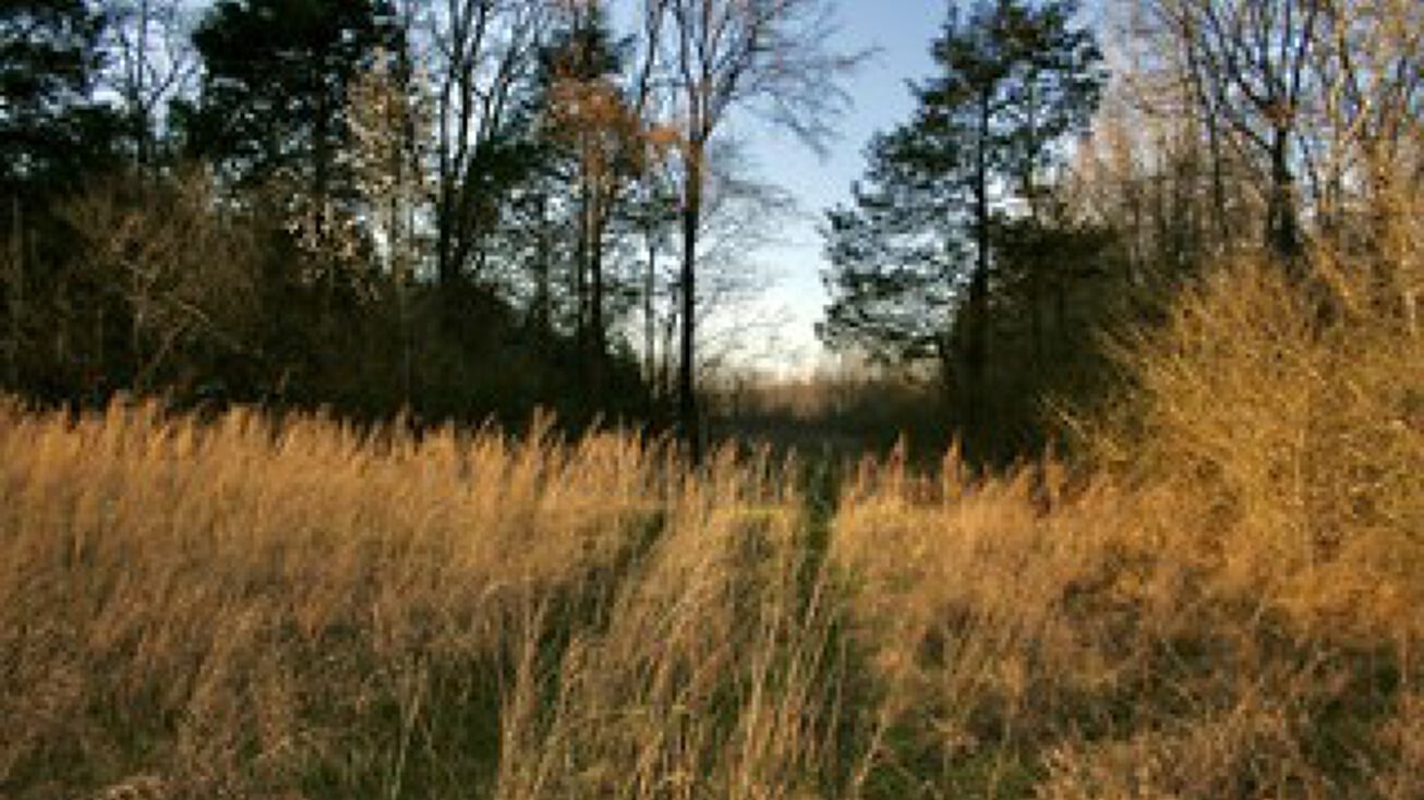 0 Eatons Creek Rd, Nashville, TN 37080 Land for Sale 0 Eatons Creek