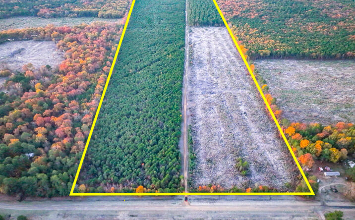 Pictures of Land property located at FM 2120, Bagwell, TX 75426 for sales - image #1