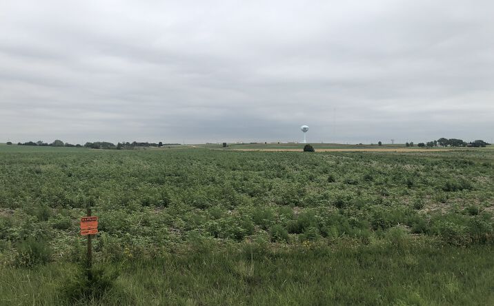 Pictures of Land property located at 000 W 48th St, Hays, KS 67601 for sales - image #1