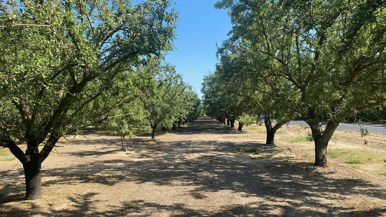 18843 Carrolton Rd, Ripon, CA 95366 Land for Sale Custom Homesite