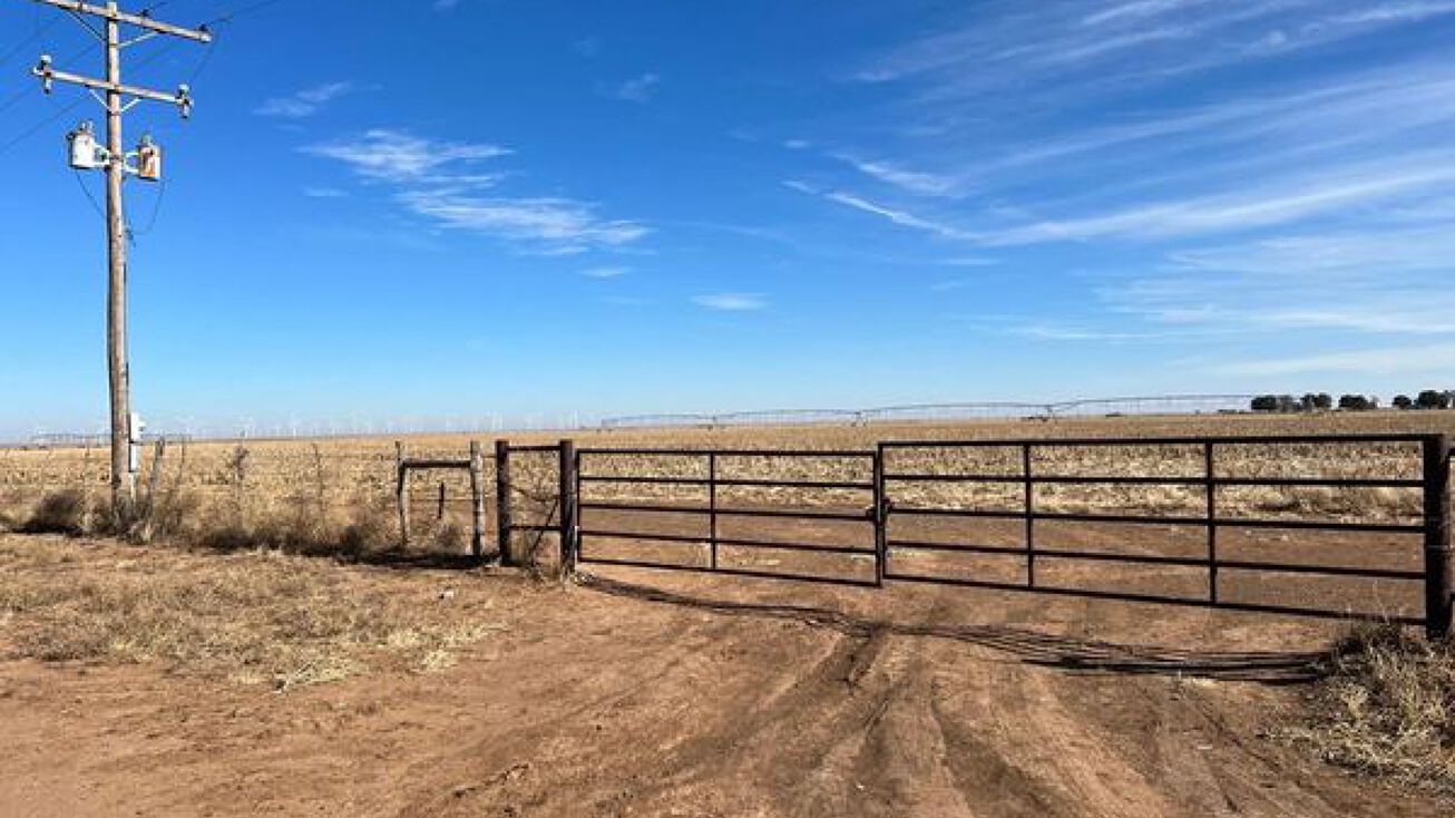 81.25 acres, Dimmitt, TX 79027 Land for Sale 81.25 acres Dimmitt