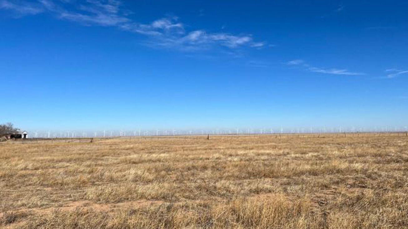 Dimmitt, Dimmitt, TX 79027