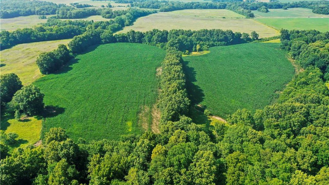 17800 E 355 Street, Archie, MO 64725