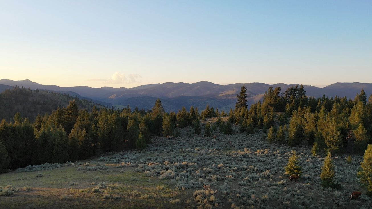 3 Tract, Bull Elk, Drummond, MT 59832 Land for Sale 3 Tract, Bull Elk