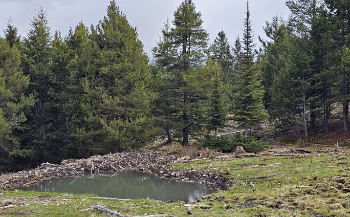 Pictures of Land property located at 10 Tract, Drummond, MT 59832 for sales - image #1