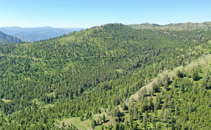 Pictures of Land property located at 4 Tract, Drummond, MT 59825 for sales - image #1