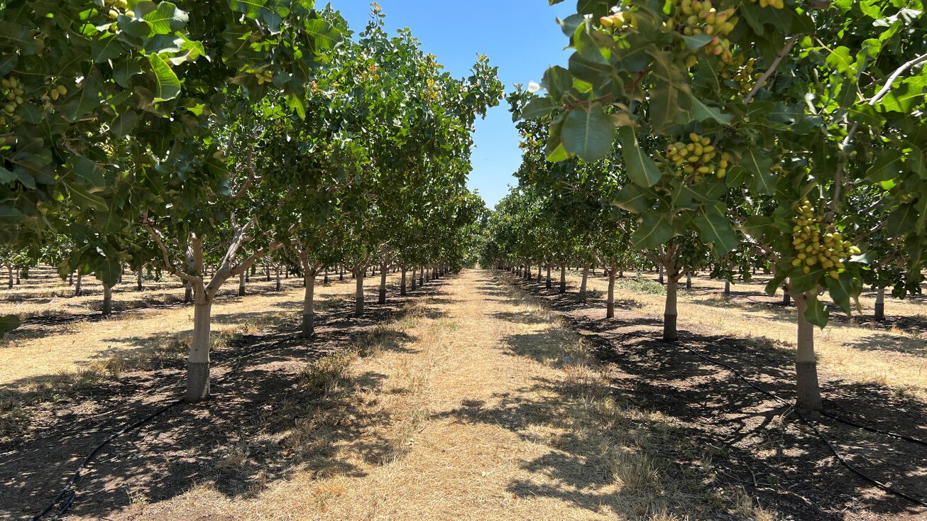 Old Stage Rd, Terra Bella, CA 93270