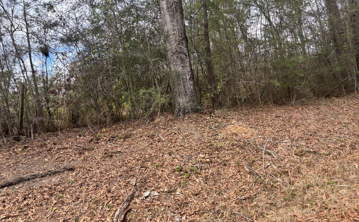 Pictures of Land, Multifamily, Special Purpose property located at 101 Will Thompson Rd., Picayune, MS 39466 for sales - image #1