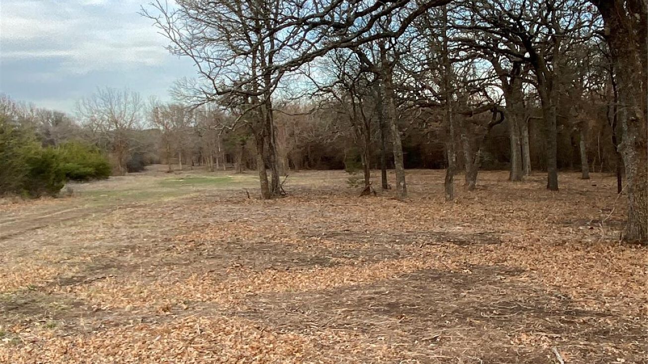 Lot 112 and 113 Cr 175 Stephenville, TX 76401, Stephenville, TX 76401