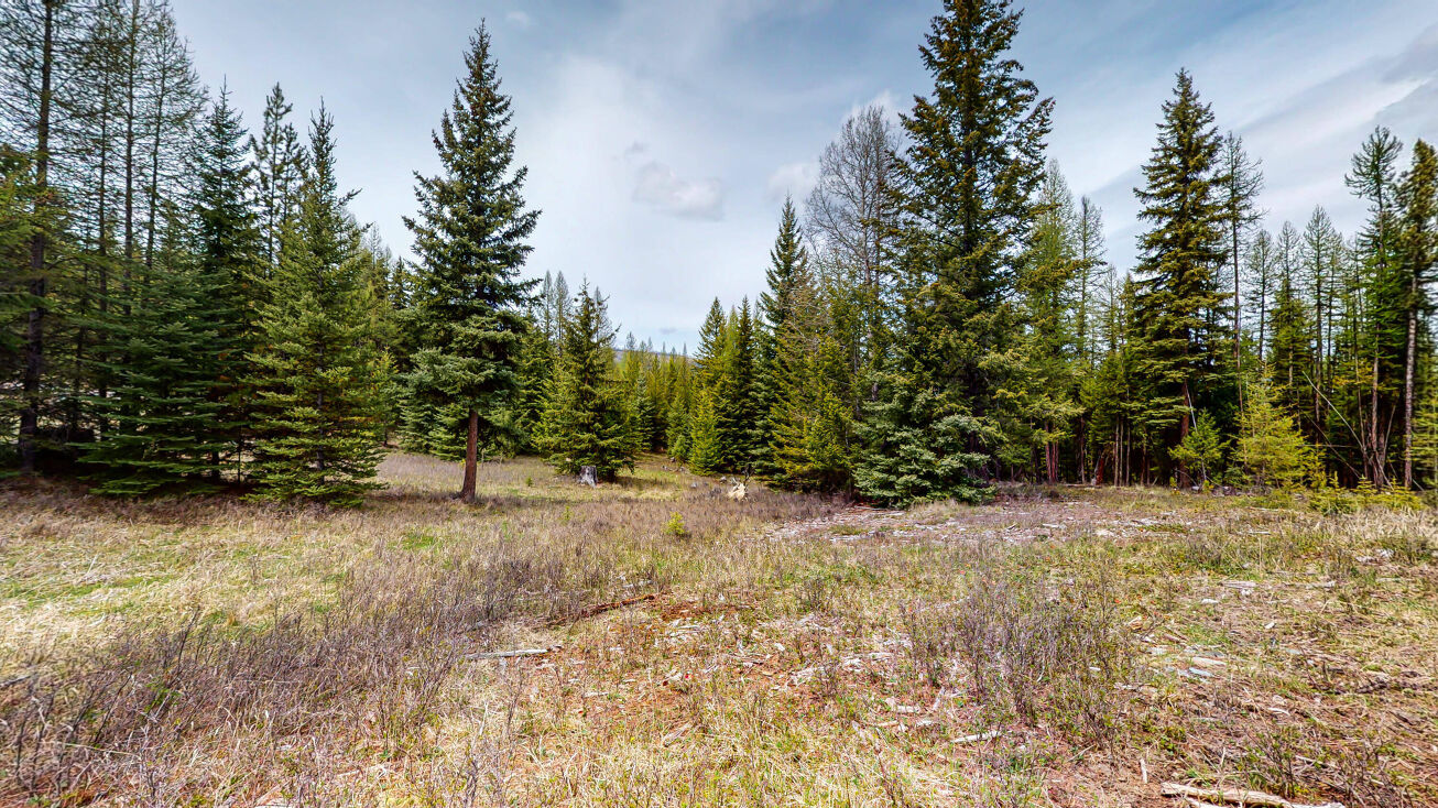 Nhn Lot 11 Tamarack Lane, Rexford, Rexford, MT 59930 Land for Sale