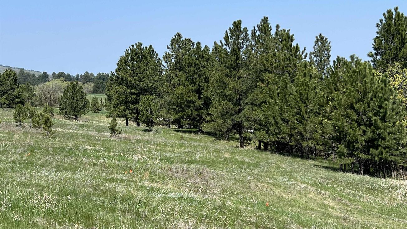 11 Oak Whitewood, Whitewood, SD 57793