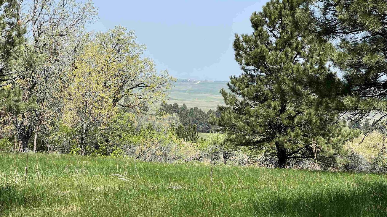 Tbd Oak Whitewood, Whitewood, SD 57793