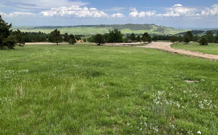 20492 Crook Mountain Rd, Whitewood, SD 57793 | Crexi.com