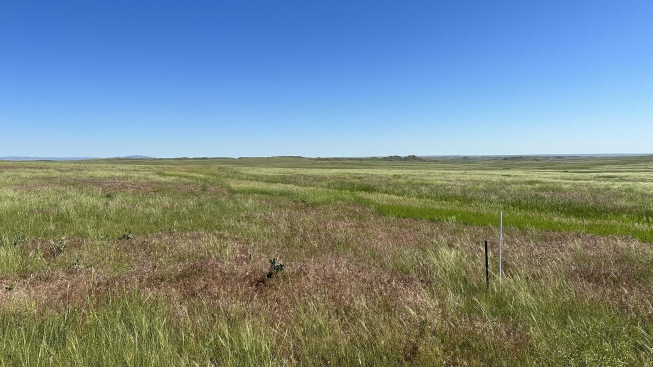 Lot 75 Pine Ridge Road, Fort Laramie, WY 82212