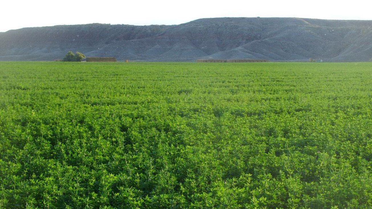 2664 Sand Butte Rd, Pavillion, WY 82523