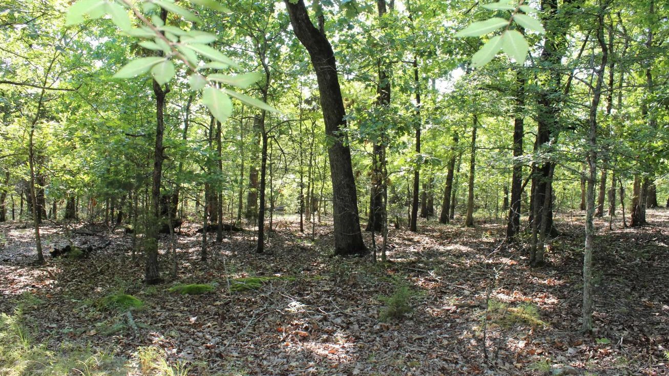 Eagle Ridge Rd Lot 20, Protem, MO 65733 Land for Sale Eagle Ridge