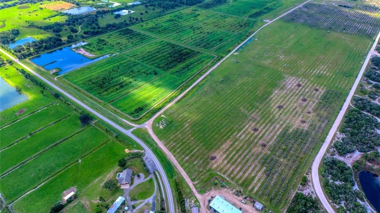 1299 County Rd 29, Lake Placid, FL 33852