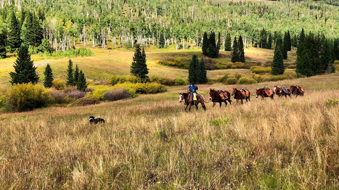 2036 Co Rd 43, Meeker, CO 81641