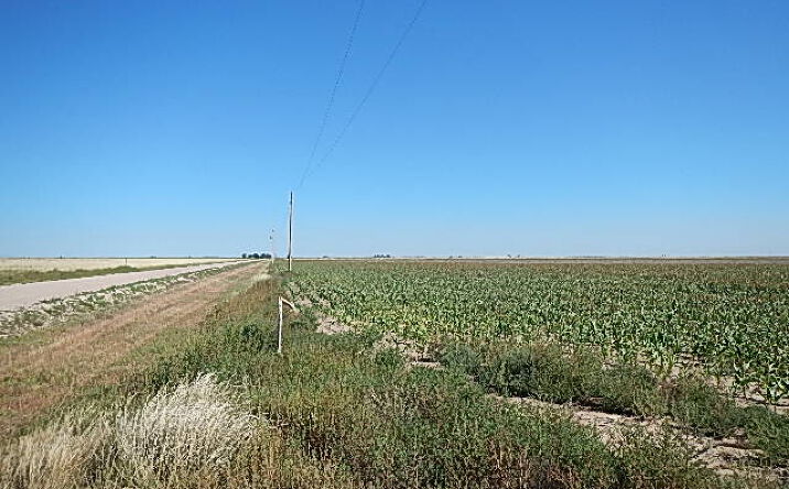 image of property at 604 W EAGLE Goodwell OK 73939