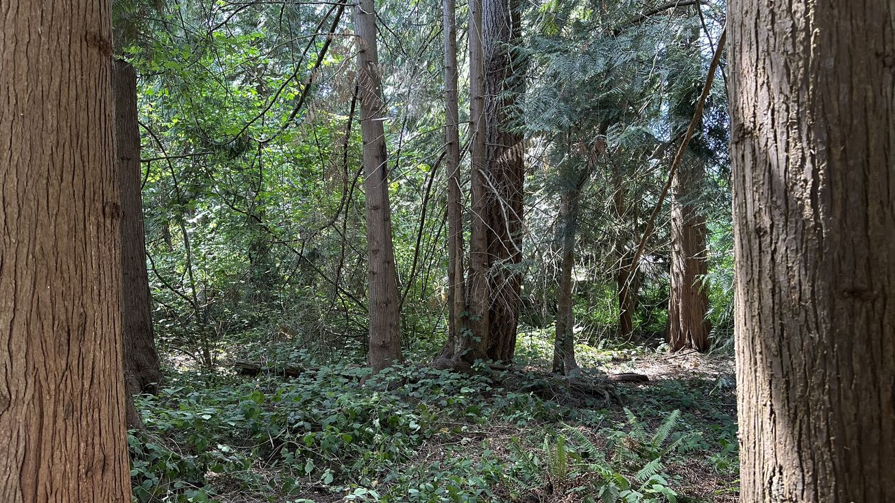 9507 203rd Ave E, Bonney Lake, WA 98391 Land for Sale Lot in Bonney