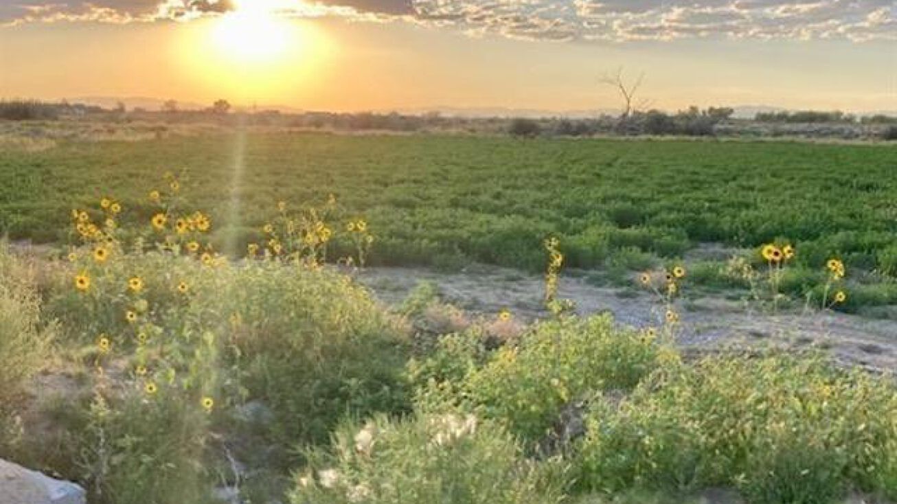 2755 Old River Rd, Fallon, NV 89406