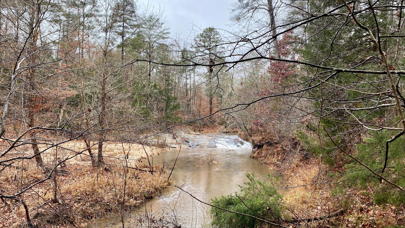 State Rd S42236, Pauline, SC 29374