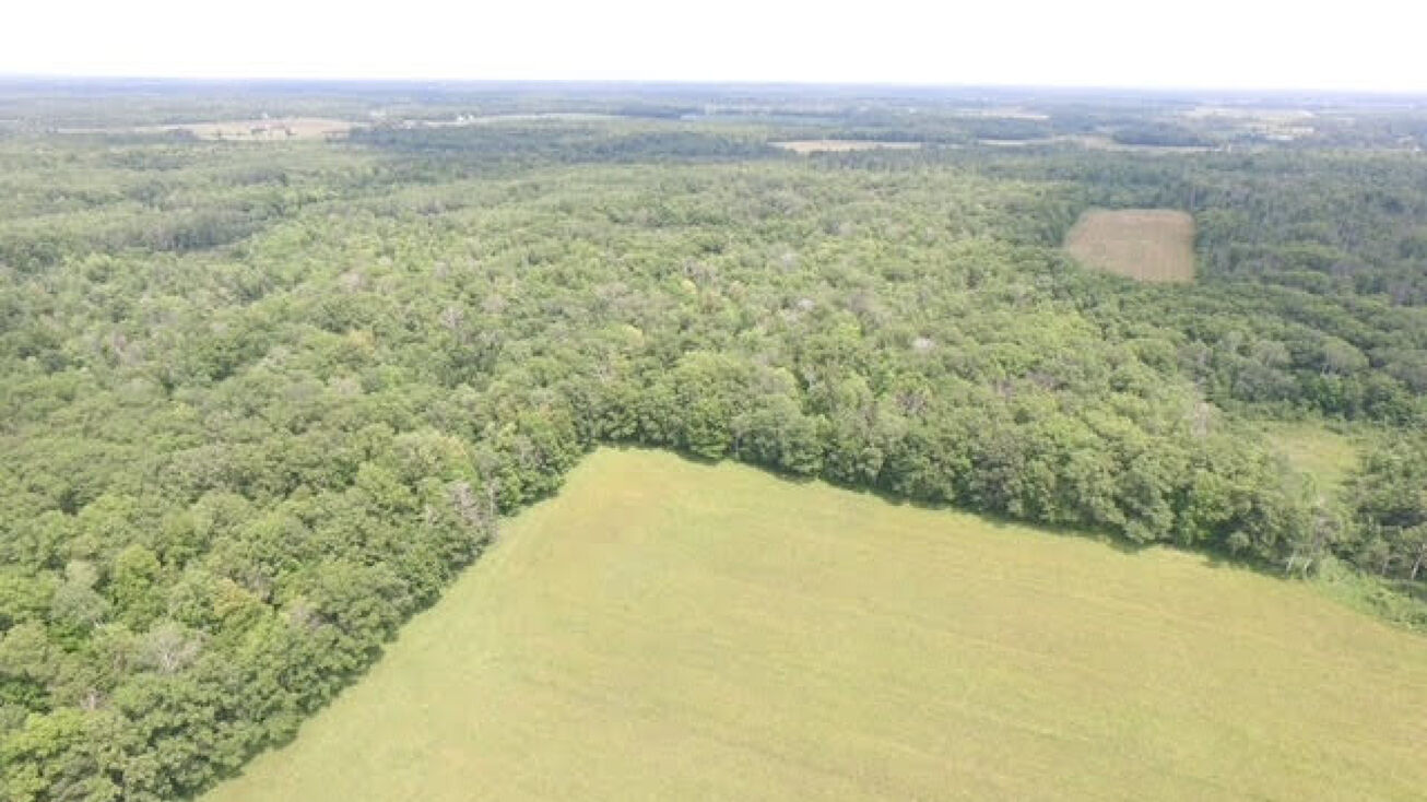 Skyview Street, Brook Park, MN 55007