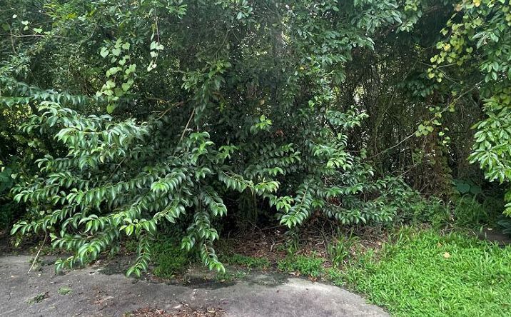image of property at 105 EDGEWOOD CIR Hide A Way Lake MS 39426