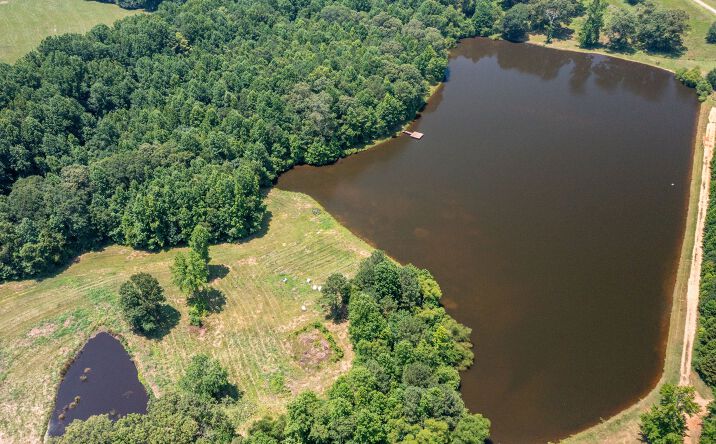 Pictures of Business for Sale, Land property located at 1358 GA-5, Roopville, GA 30170 for sales - image #1