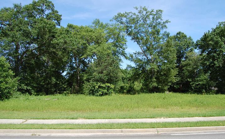 Wildwood Dr, Picayune, MS 39466 - Land for Sale - Nhn Wildwood St