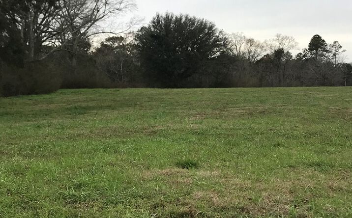 Pictures of Land property located at 0 Whispering Ln Lot 58, Poplarville, MS 39470 for sales - image #1