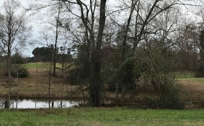 Pictures of Land property located at 0 Whispering Lane Lot 50, Poplarville, MS 39470 for sales - image #1