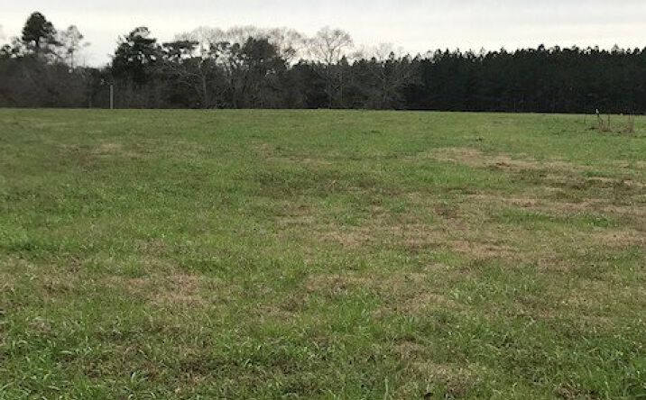Pictures of Land property located at 0 Whispering Lane Lot 46, Poplarville, MS 39470 for sales - image #1
