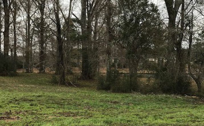 Pictures of Land property located at 0 Whispering Lane   Lot 48, Poplarville, MS 39470 for sales - image #1