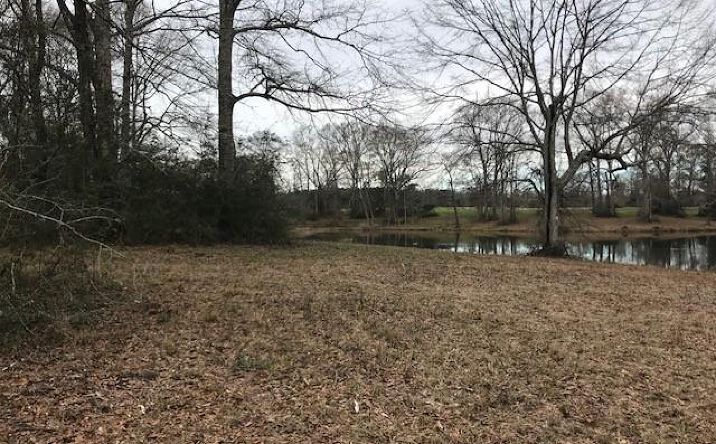 Pictures of Land property located at 0 N Main St Lot 61, Poplarville, MS 39470 for sales - image #1