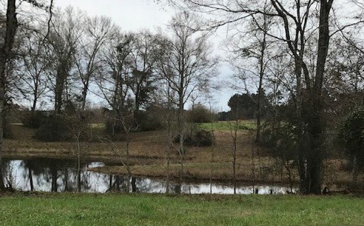Pictures of Land property located at 0 N Main St Lot 64, Poplarville, MS 39470 for sales - image #1