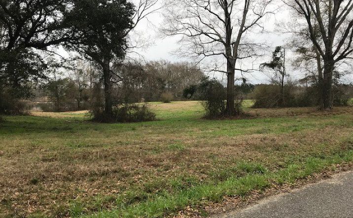 Pictures of Land property located at 0 Rollin Ridge Lot 68, Poplarville, MS 39470 for sales - image #1