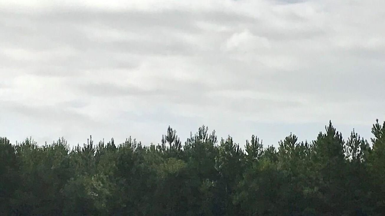 00 Hwy. 43 North, Picayune, MS 39466