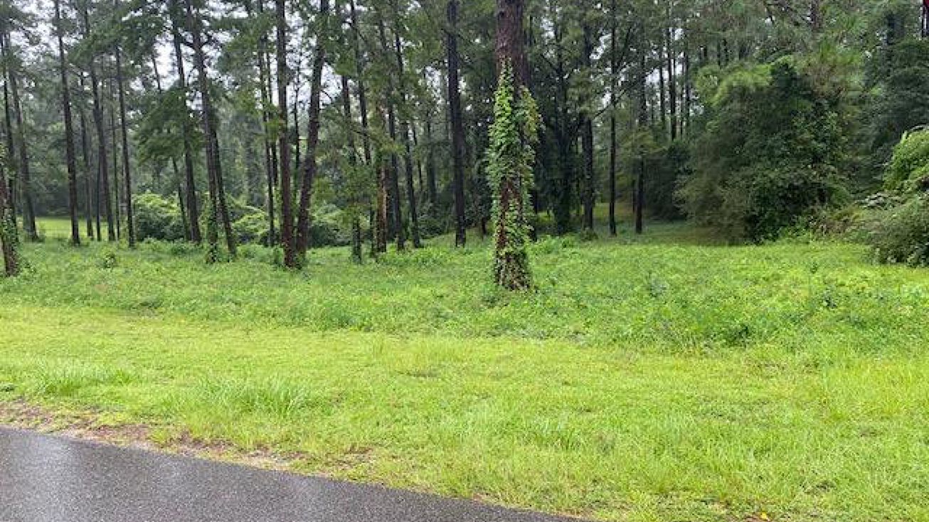 NHN Tract 1 Oscar Smith Road, Carriere, MS 39466 Land for Sale NHN