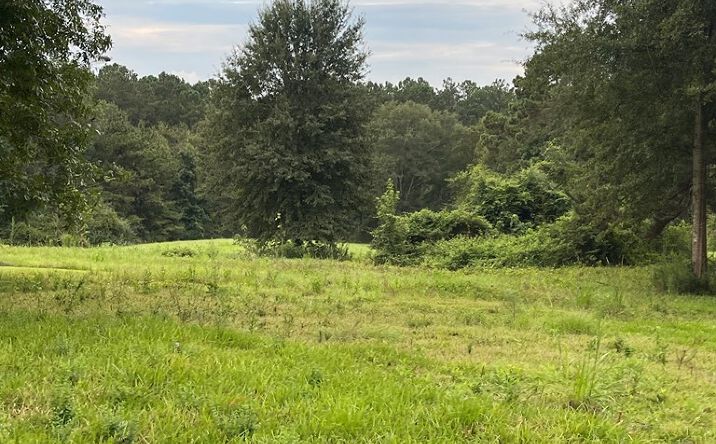 Pictures of Land property located at 00 Hoadley Road, Poplarville, MS 39470 for sales - image #1
