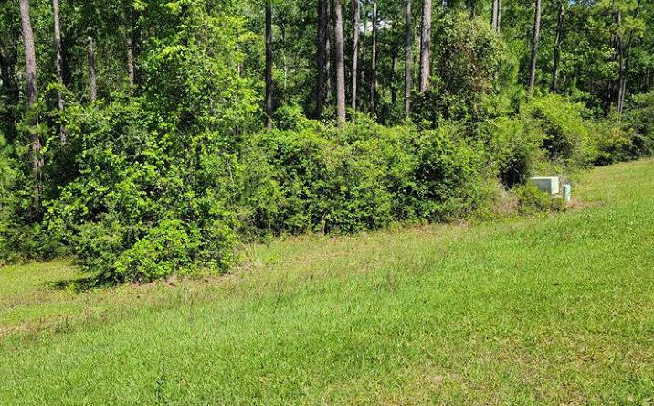 Pictures of Land property located at NHN Spring Oak, Carriere, MS 39426 for sales - image #1