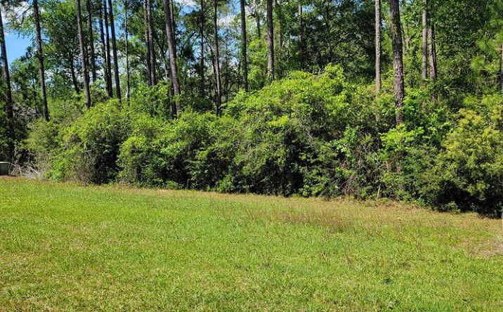 Pictures of Land property located at NHN Spring Oak, Carriere, MS 39426 for sales - image #1