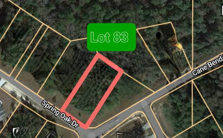 Pictures of Land property located at NHN Spring Oak Dr., Carriere, MS 39426 for sales - image #1